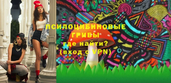 круглые Алексеевка