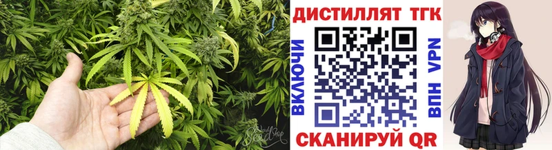 где найти Полтавская ТГК концентрат